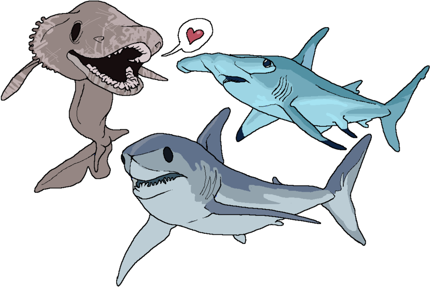 Clipart Library - Shark Week (900x602)