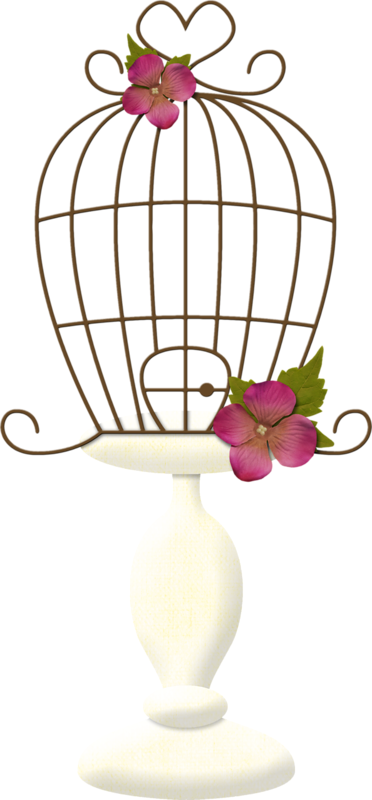 Bird Cages And Flowers - Bird Cages And Flowers (372x800)