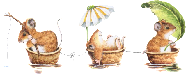 Clip Art - Gif Animé De Noix (639x268)