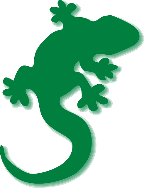 0 - Gecko Clipart (552x720)