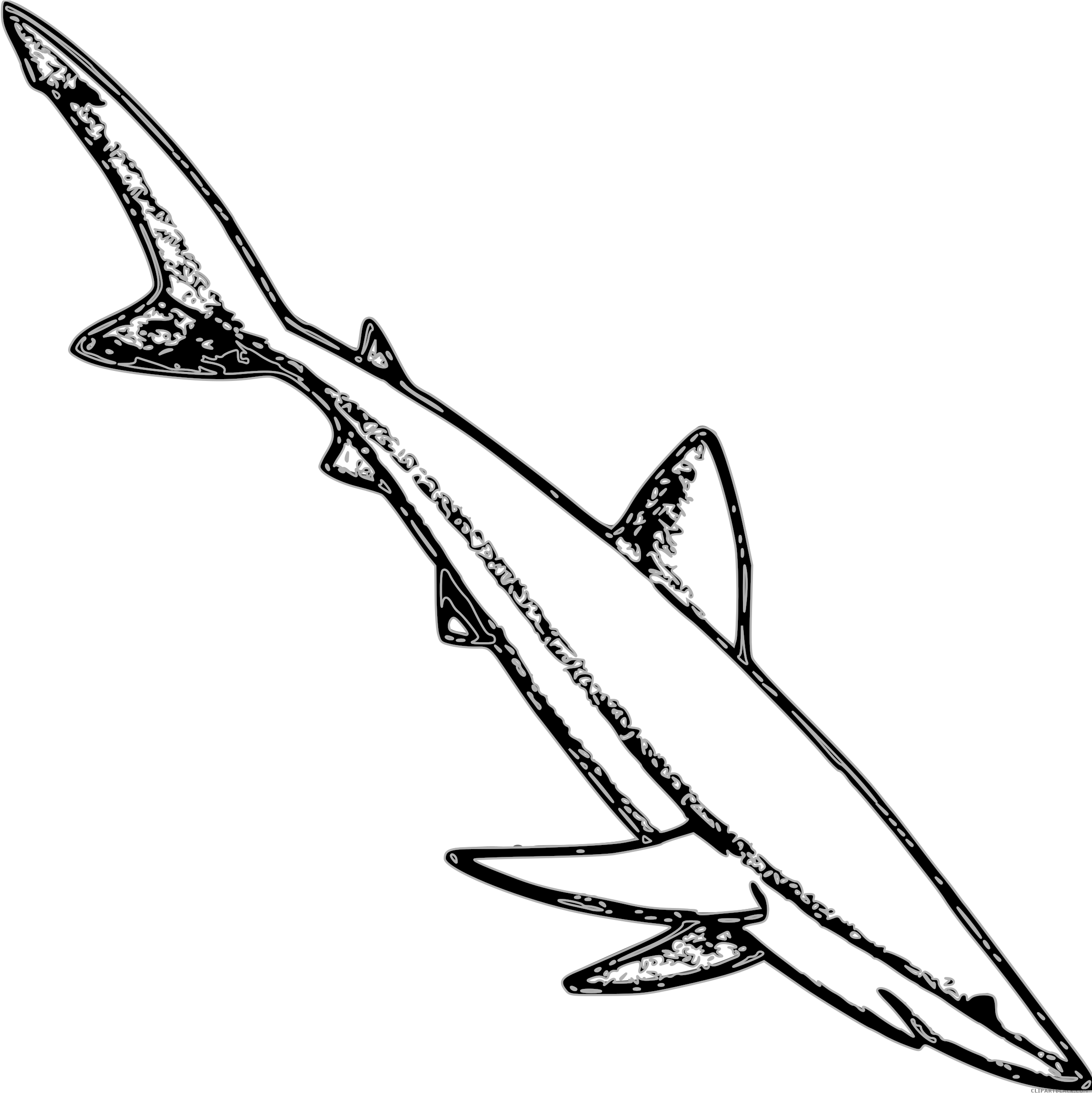 Shark Animal Free Black White Clipart Images Clipartblack - Blue Shark Outline (2400x2400)