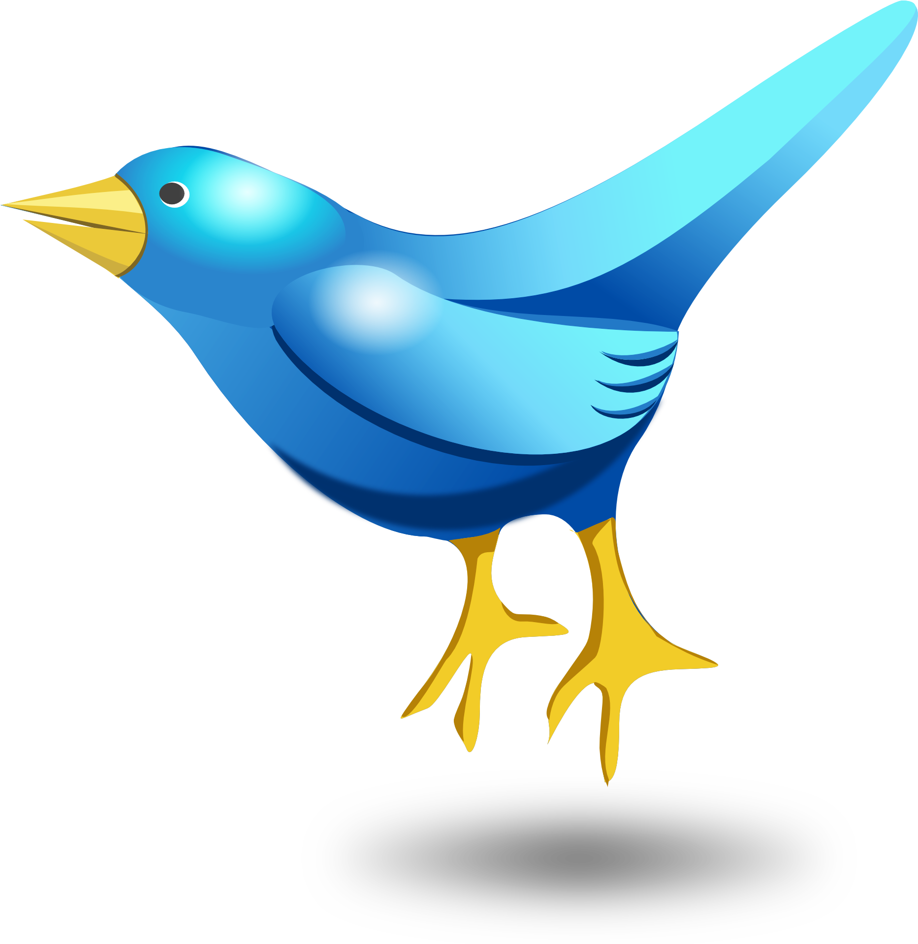 Twitter Tweet Bird Vector Png Transparent Image - Bird Vector Png (1984x1994)