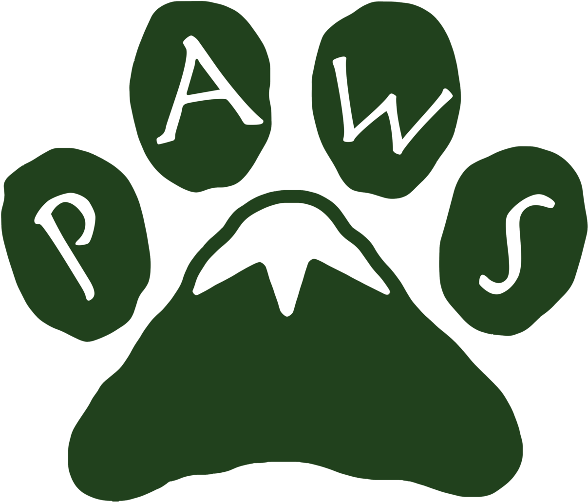 Crowdrise - Miniature Schnauzer Face T Shirt (1500x1500)