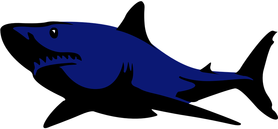 Shark Fish Animal Swim Danger Power Dark B - รูป ปลา ฉลาม Png (960x480)
