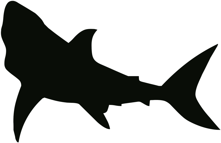 Shark Black And White Shark Free Pictures On Pixabay - Shark Stencil (960x634)