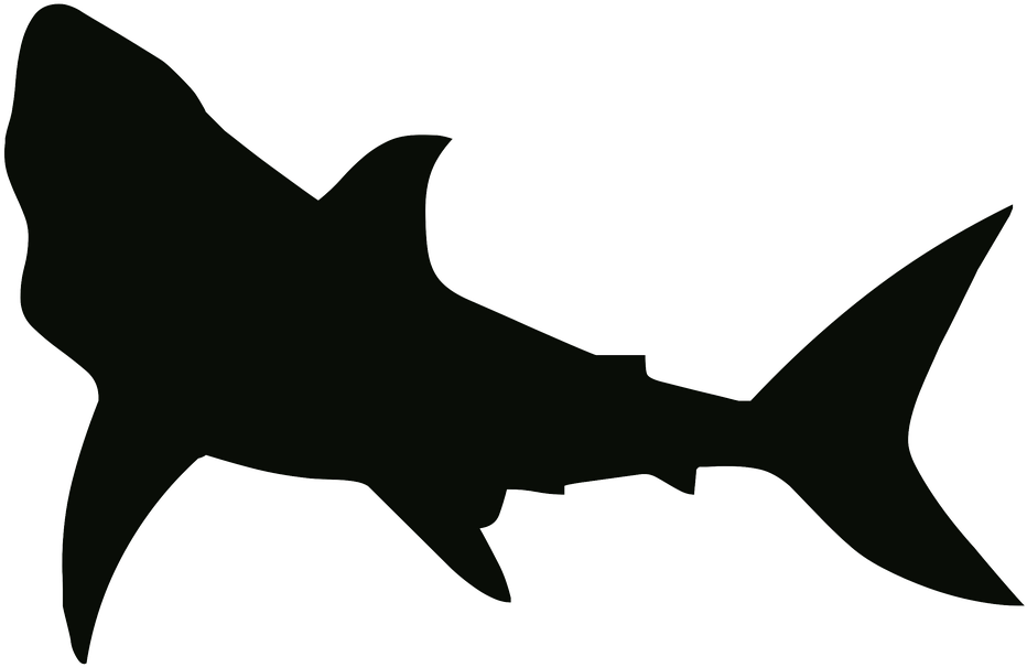 Картинки black shark