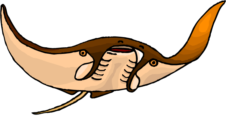 Stingray Clipart - Cartoon Stingray Transparent Background (750x385)