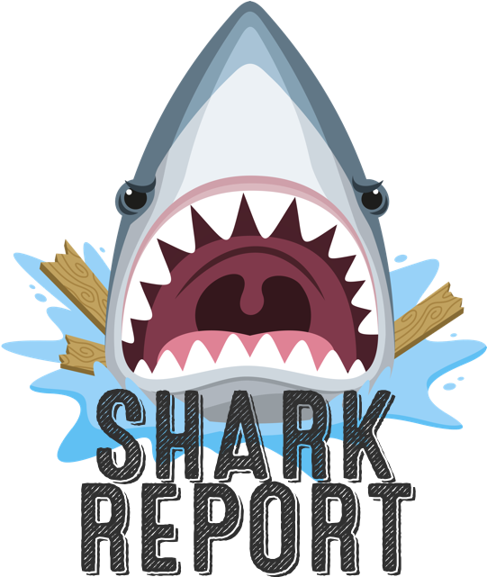 Sharkreport - Machoire De Requin Dessin (640x640)