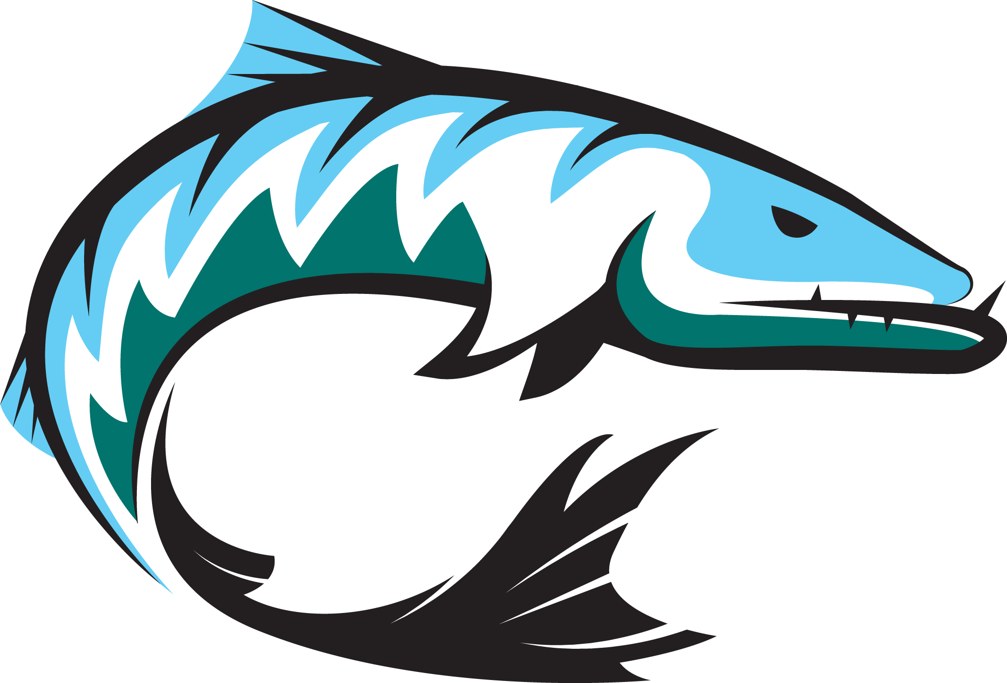 Annual Report - Riverview Barracuda (2000x1357)