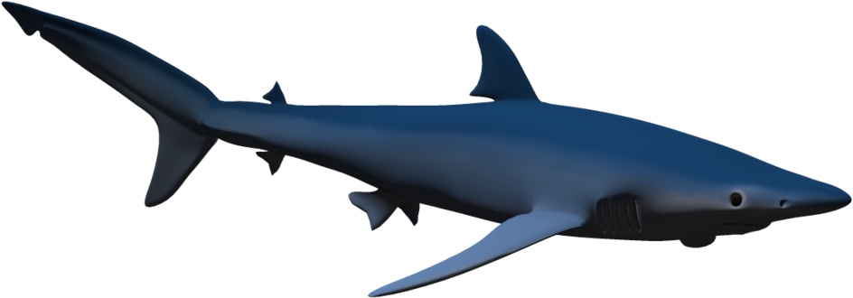 Hammerhead Shark Cartoon Free Download Clip Art Free - Cetacea (1024x639)