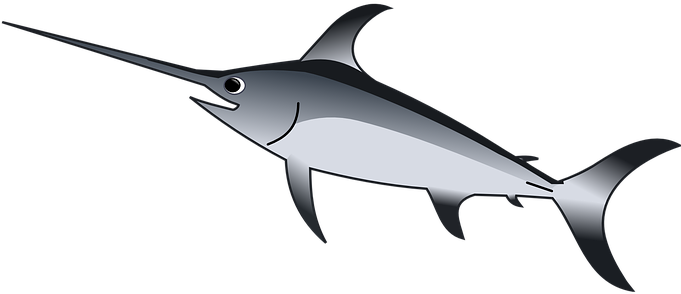 Swordfish Predator Sea Animal Ocean Water - Xiphias Clipart (680x340)