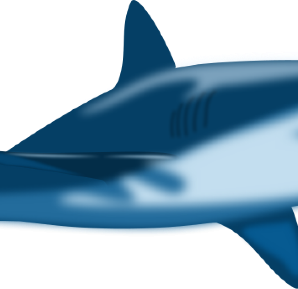 Free Shark Clipart Imagesclipartpandashark Clip Art - Custom Blue Bull Shark Shower Curtain (1024x1024)