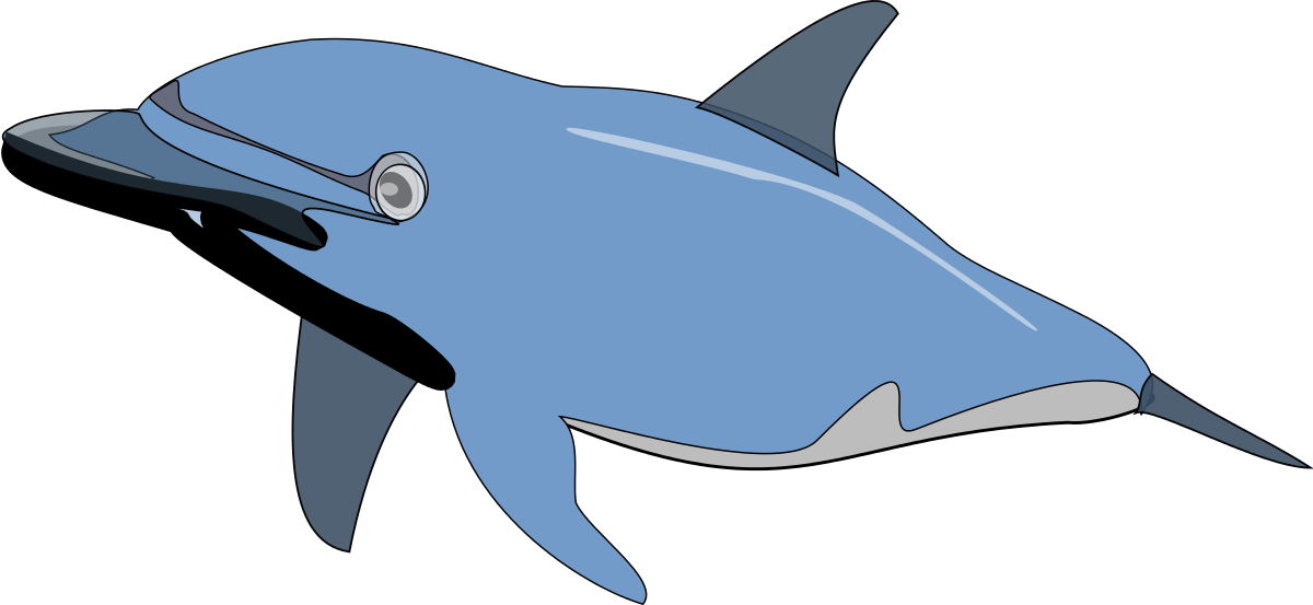 Dolphin Clip Art (1623x750)