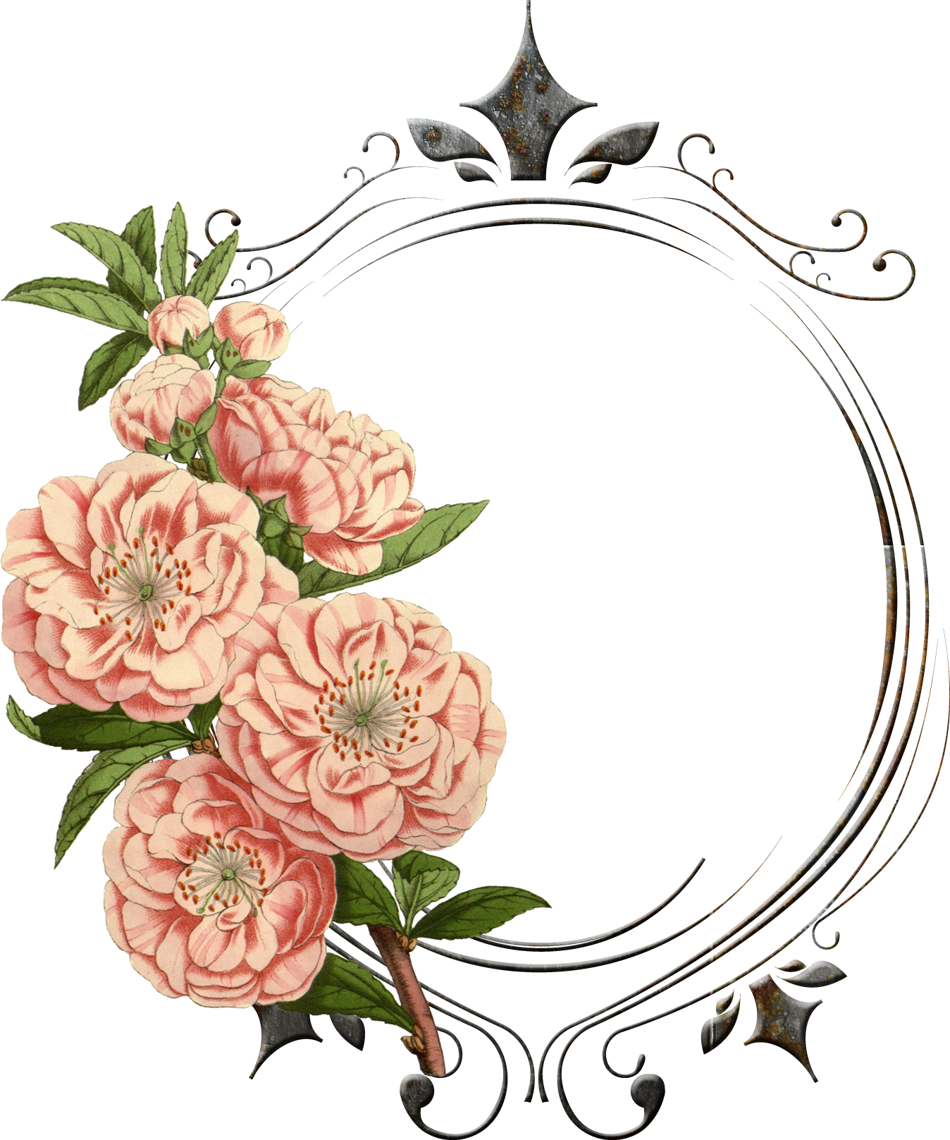 Vintage Flower Clipart Real Flower - Vintage Flower Frames Png (1348x1617)