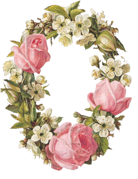 ♥vintage Printable Flower Frame ~ 'romantic Rose' By - Hybrid Tea Rose (494x640)