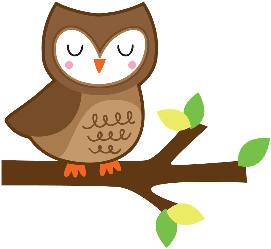 Owl Clip Artowl - Cartoon (900x826)