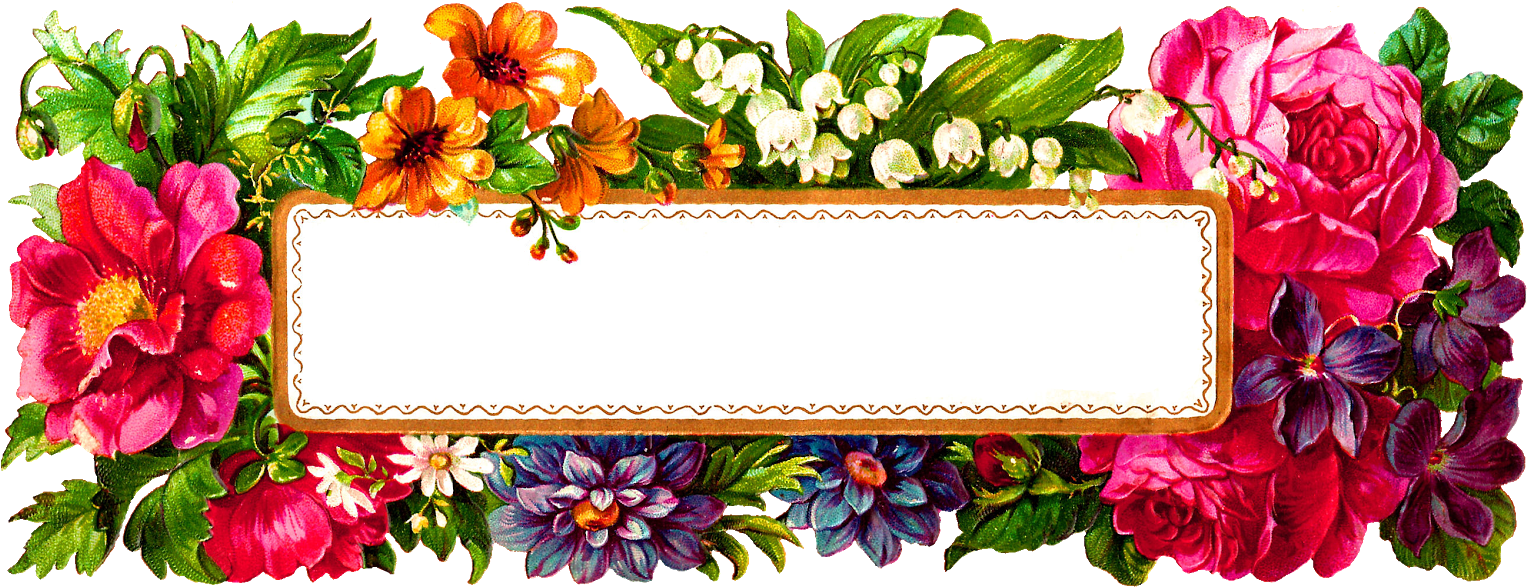 Digital Flower Label - Floral Label Png (1600x670)