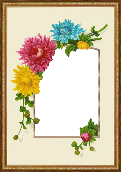 Vintage Floral Frame - Picture Frame (400x566)