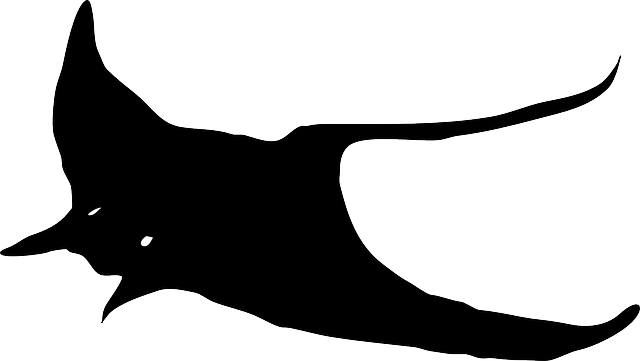 Skate Fish, Silhouette, Stingray, Ray, Skate - Stingray Clipart (640x361)