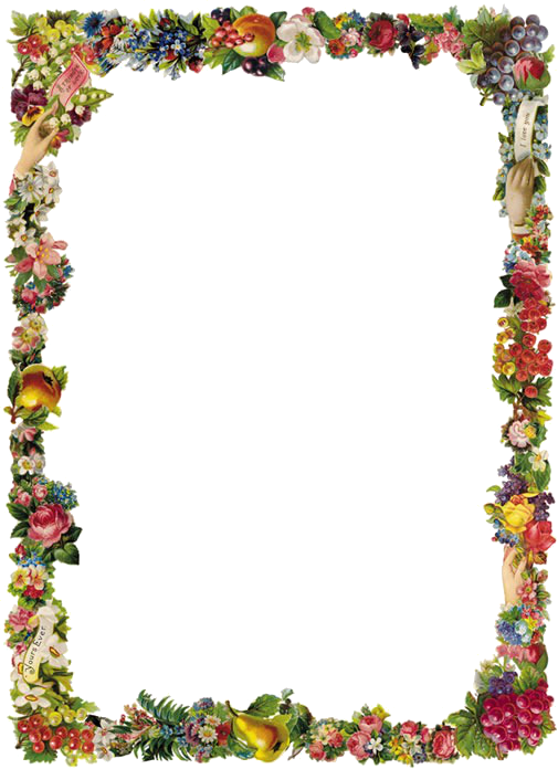 Zibi Vintage Scrap Lutego 2012 - Free Vintage Christmas Border Clip Art (505x696)