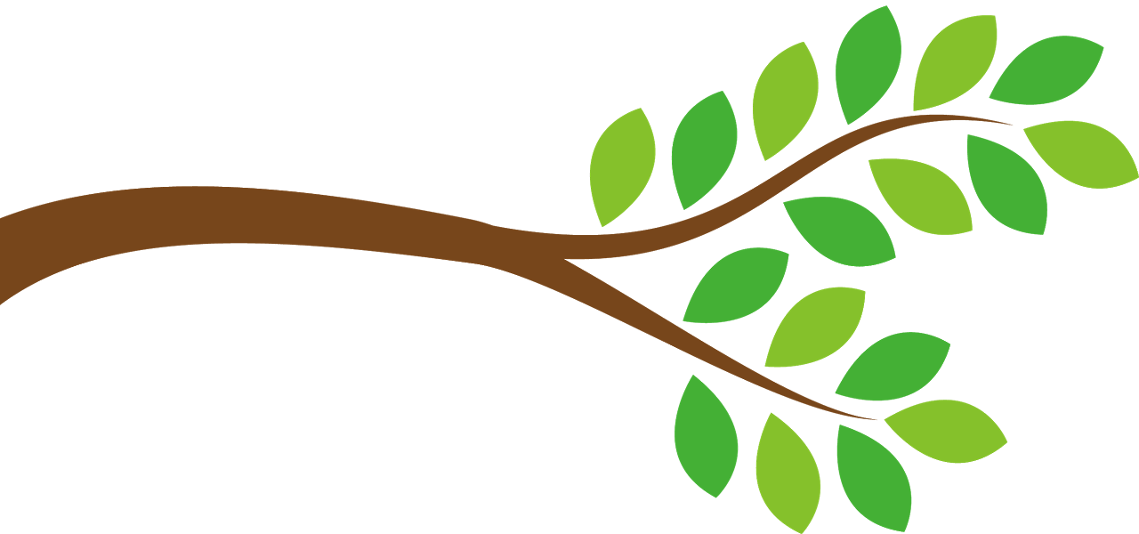 Clip Art, Google, Baby, 1, Monkey, Safari Cakes, Backgrounds, - Loja, Granada (1280x600)