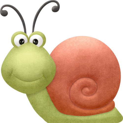 Snail - Insecte Clipart (500x499)