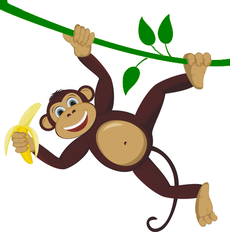 Monkey Transparent Png Pictures - Imagenes De Chango De Caricatura (475x480)