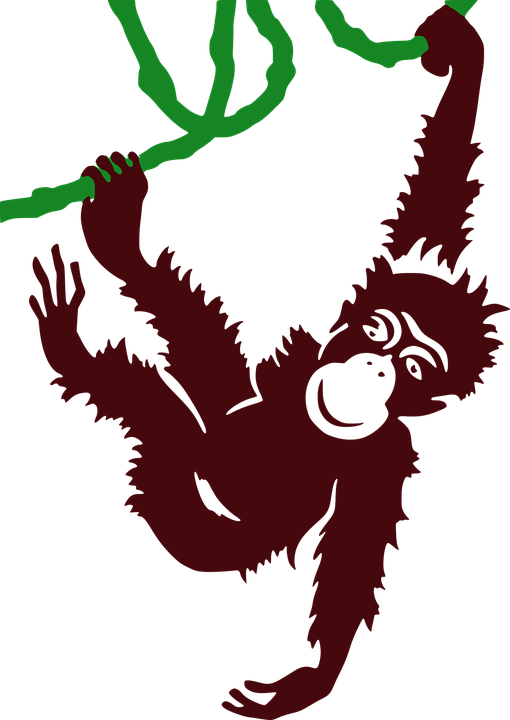 Hanging Sloth Public Domain Vectors - Hanging Gorilla Clipart (510x720)