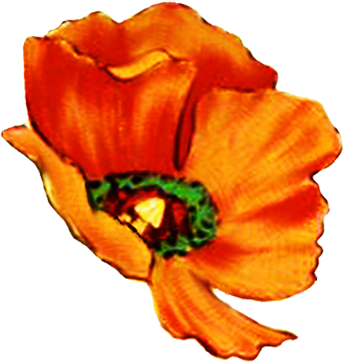 Digital Scrapbooking Flowers Poppy Head - Flowers Hd Single Png (554x650)