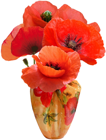 Poppies In Vases - Великолепно Гиф (401x500)