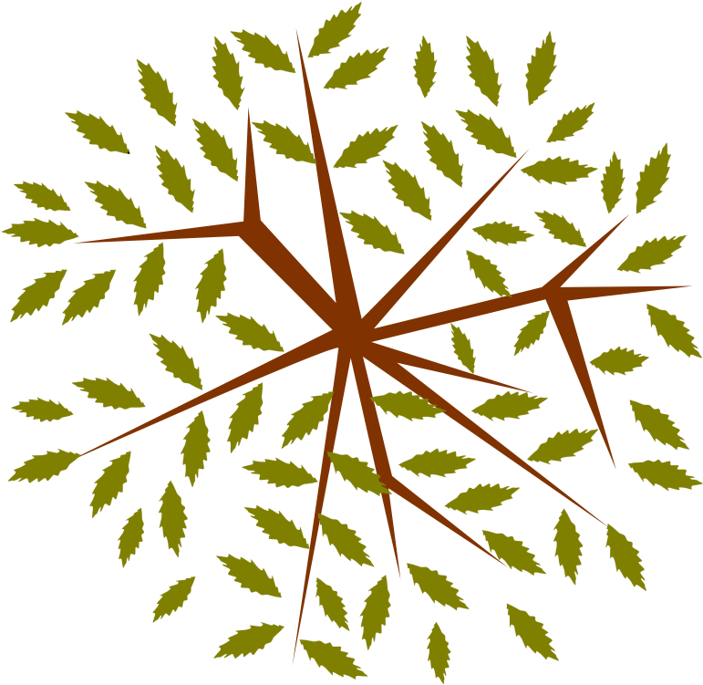 Tree-12b - Portable Network Graphics (800x800)