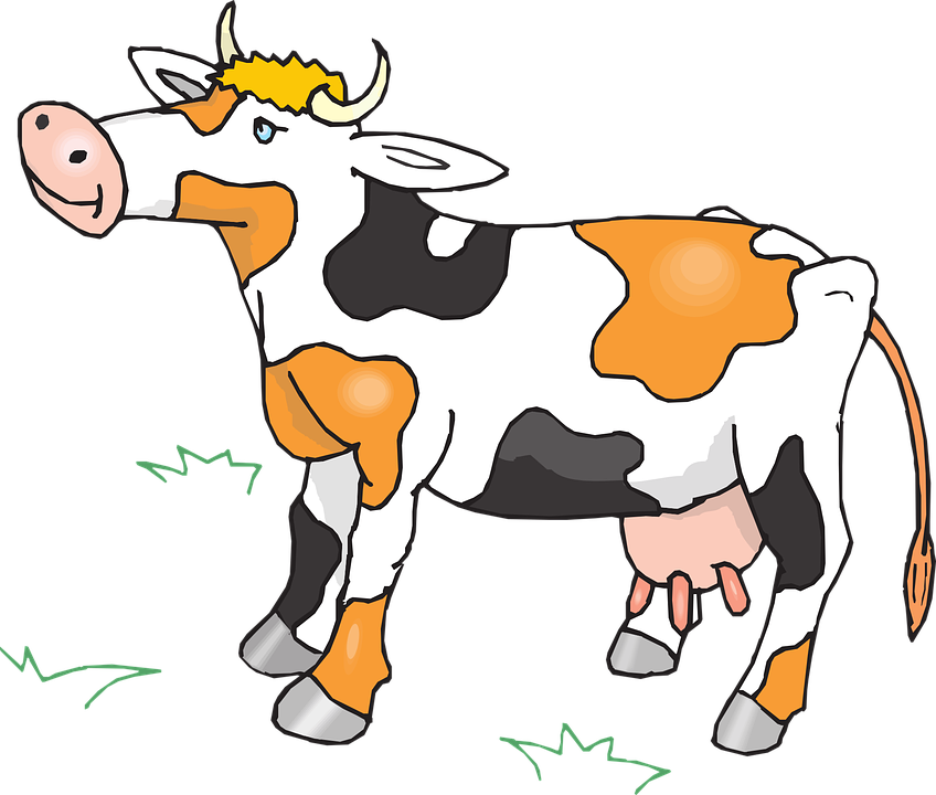 Animated Cows Pictures 24, Buy Clip Art - Animals Clip Art Gif (848x720)