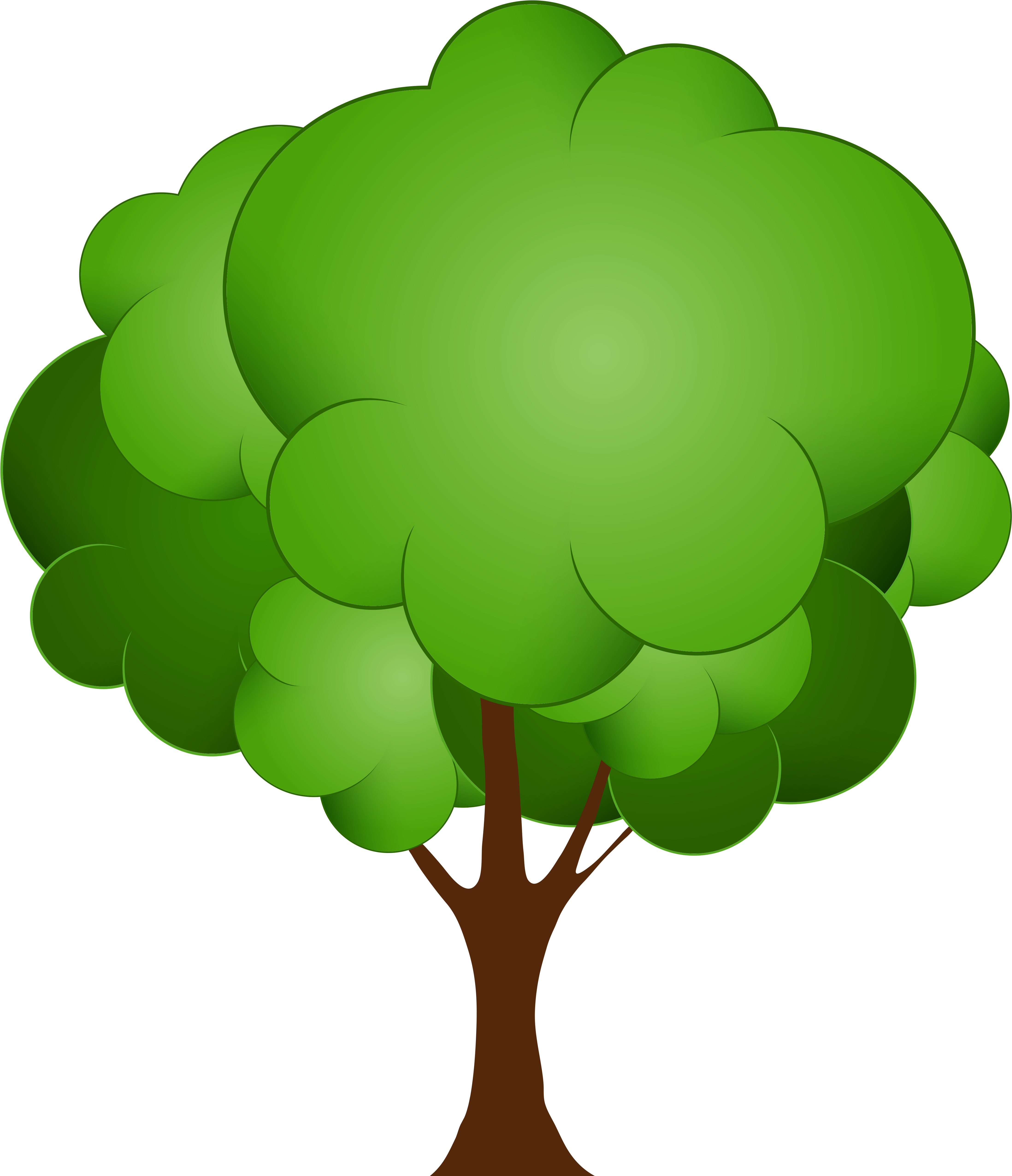 Seasonal Tree Fall Leaves Clipart - Tree Clipart Transparent Background (4599x5232)