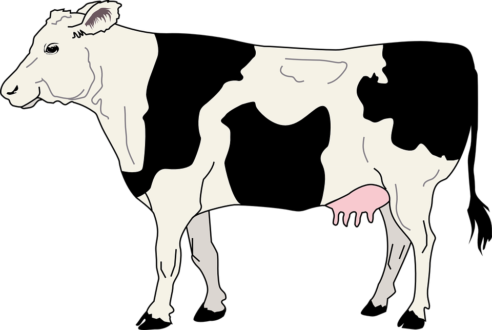 Animated Cow Pictures 18, Buy Clip Art - Black And White Cow Clipart (960x644)