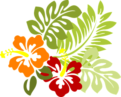 Flower Tropical Leaves Hibiscus Hawaii Red - Hibiscus Clip Art (423x340)