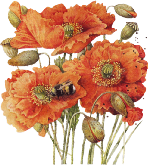 Prints - Demdaco Nature's Journey Blessings Magnet, 3-inch (500x549)