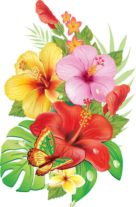 36d52cc5 - Free Download Images Of Beautiful Flowers (527x800)