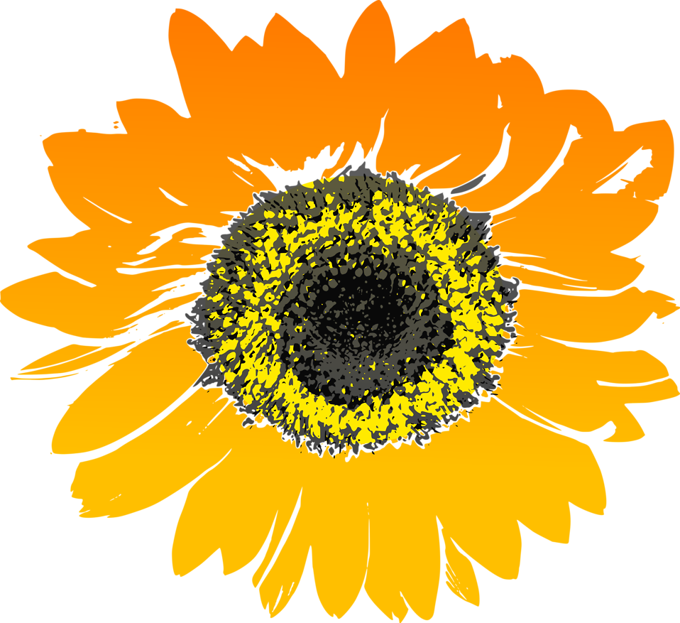 Free Flower Clipart 24, - Sunflower Graphic (958x877)