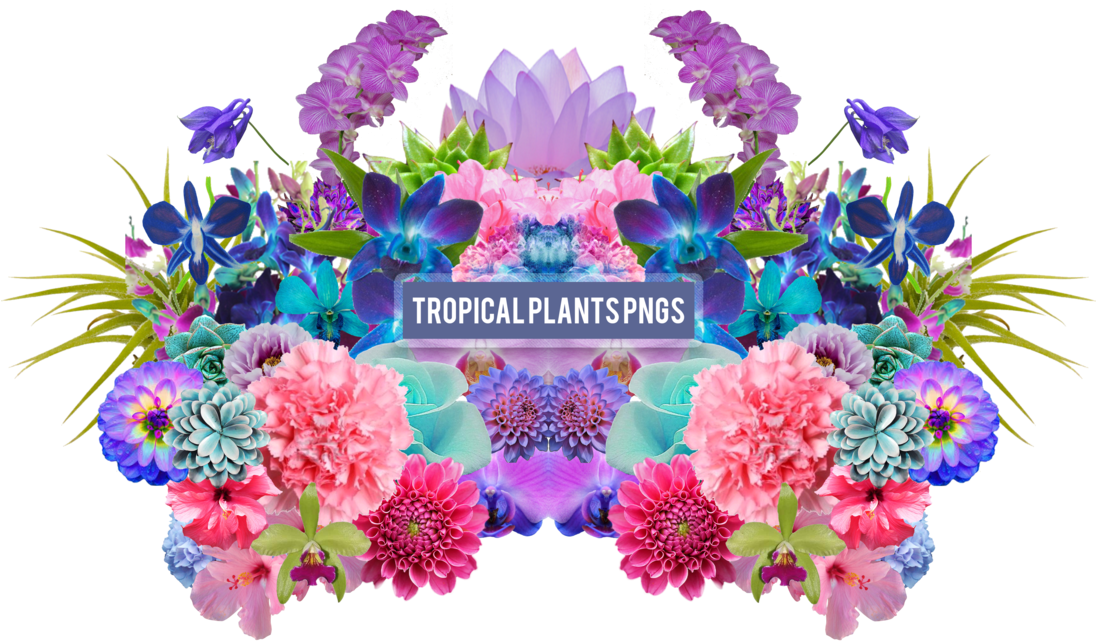 Tropical Plants Png's By Summer To The Spring - Pack Png Plantas (1095x729)