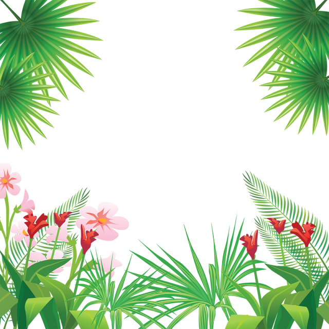 Tropical Leaves Flowers Frame, Tropical, Flowers Png - Tropical Flowers Png (640x640)
