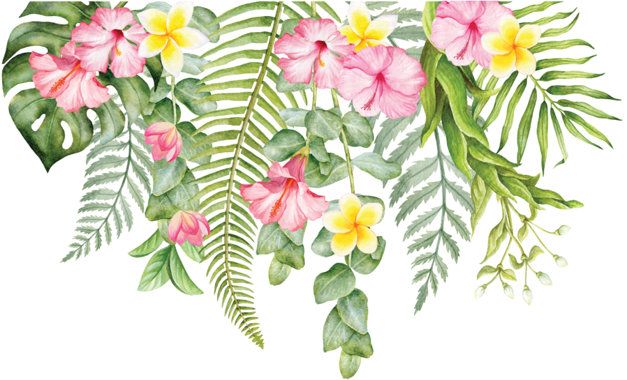 Individual Tropical Flowers For Greenery Wall Decal - Tropical Flowers Png (1024x544)