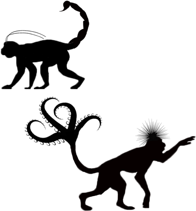 Insect Parts - Monkey Silhouette Png (700x700)