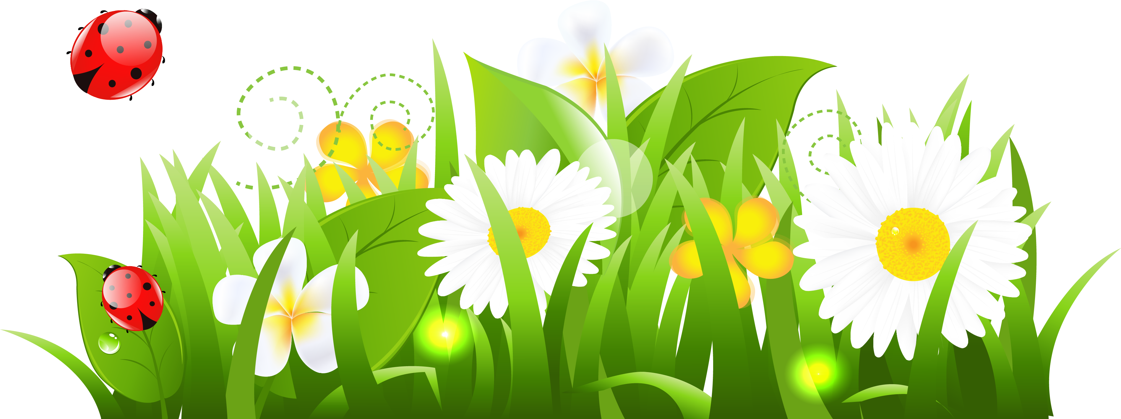 May Clip Art - Grass And Flowers Clipart (3852x1519)