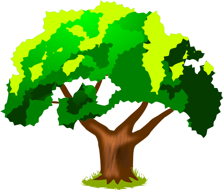 Tree Clip Art Download - Ainslie Wood Primary School (800x800)
