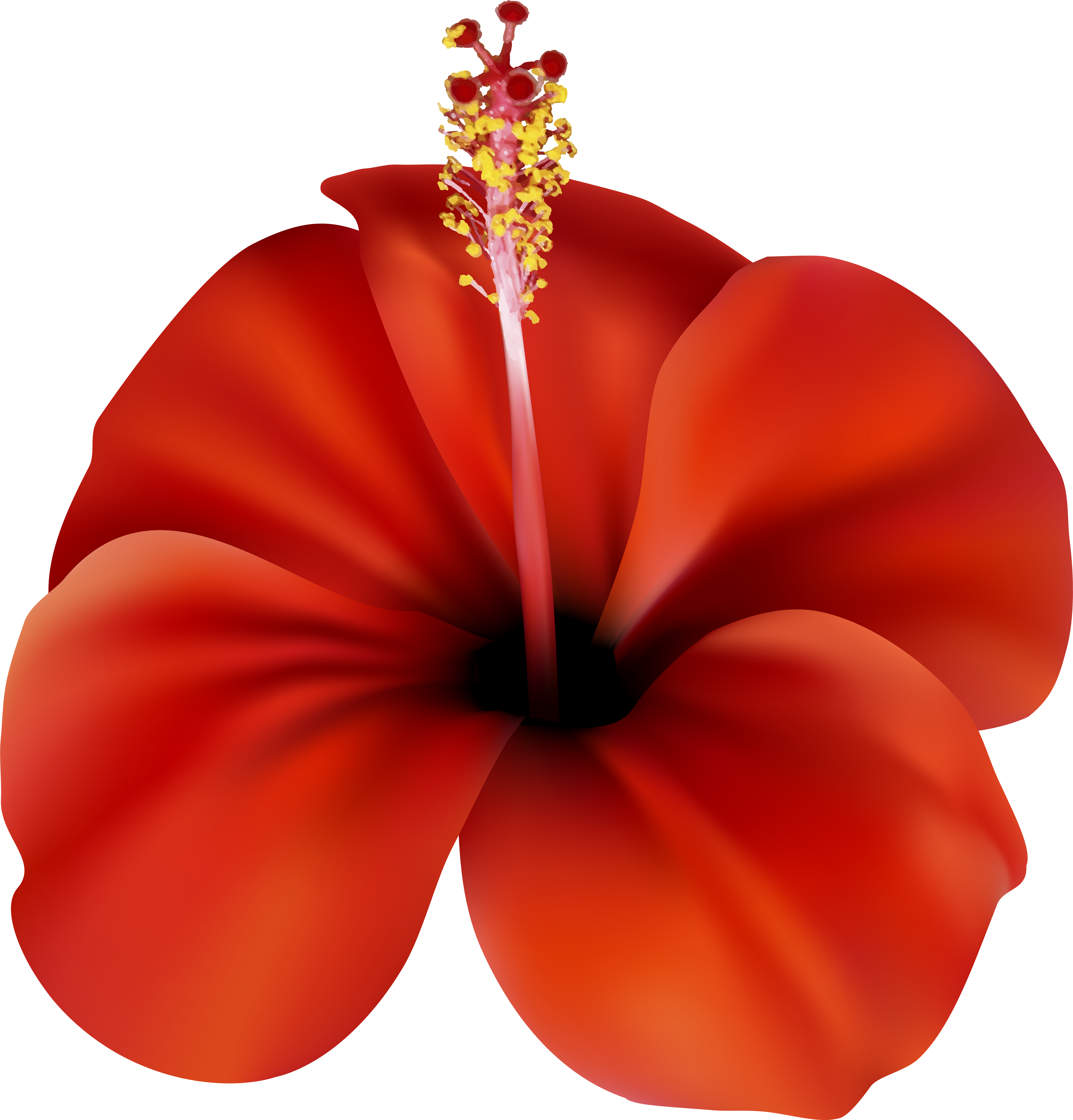 Red Flower Png Clip Art - Red Flower Png Clip Art (7663x8000)