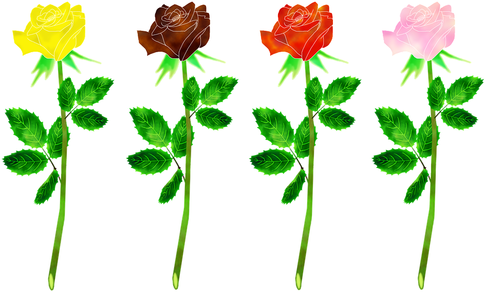 Daffodil Clip Art 26, - Junoon (960x572)