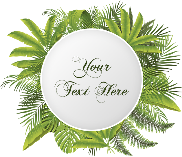Tropical Floral Flower With Your Text Vector Png, Tropical, - New Year 2012 Greeting Cards (640x640)