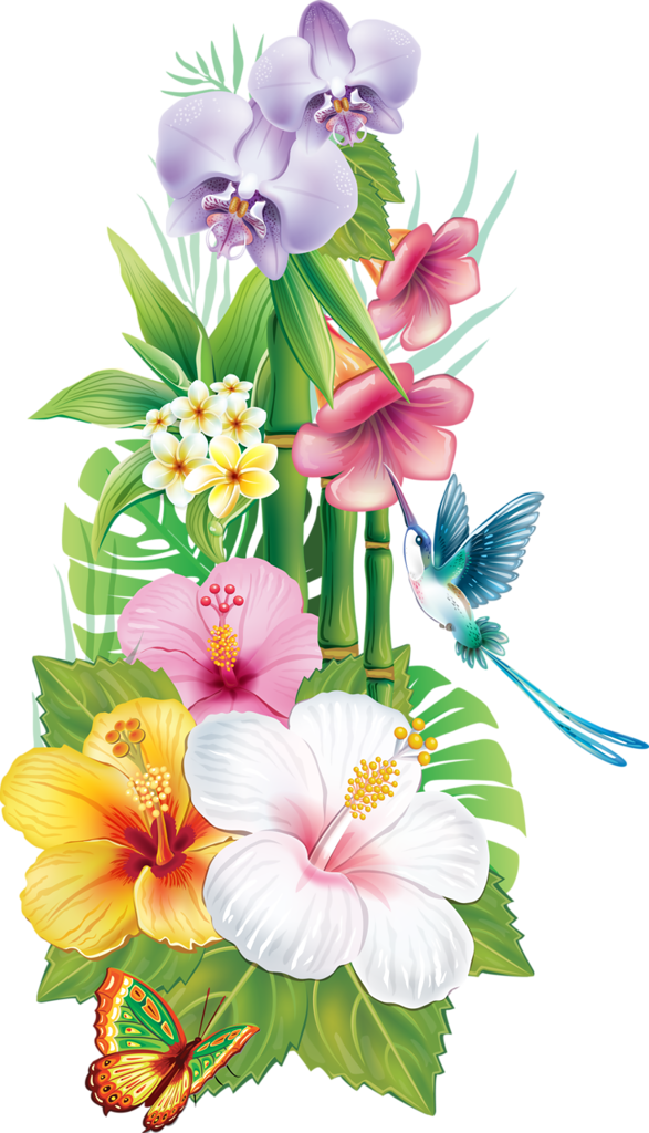 Cafepress Tropical Hibiscus Tile Coaster (587x1024)
