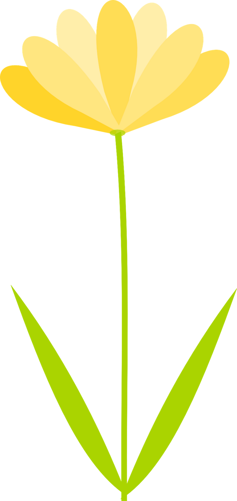 Daffodil Clipart Clear Background - Transparent Background Yellow Flowers Clipart (759x1600)