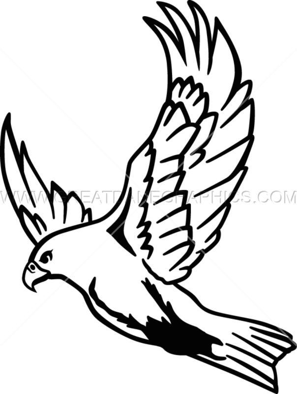 Falcon Flying Clipart - Flying Falcon Clipart (604x800)